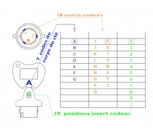 Key coding principles